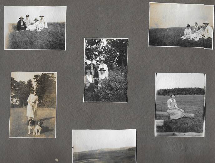 A close-up of pictures on a board

Description automatically generated